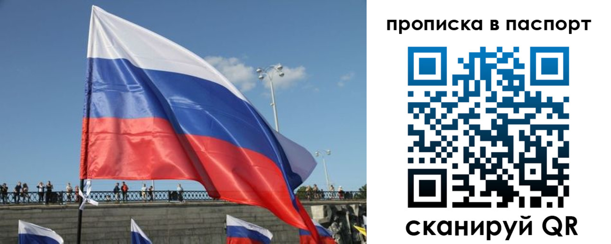 прописка регистрация в Пионерском